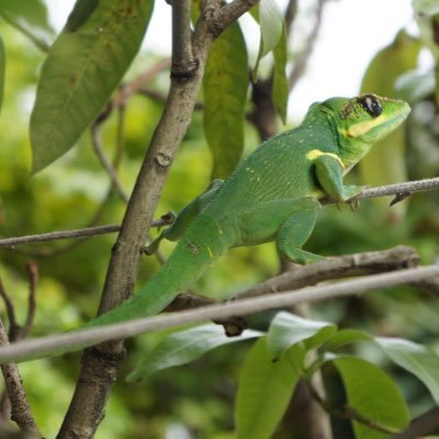 Dau2011's profile picture. 