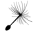 tea_coffee's profile image