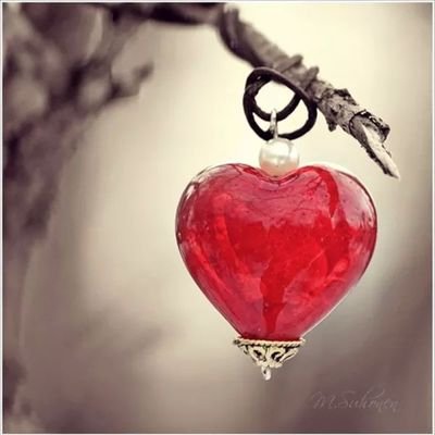 JaguaPaola's profile picture. jagua