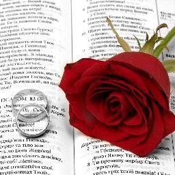 AshleeBryan85's profile picture. I'm an avid romance reader and reviewer, currently writing my first novel. I love good food, great company and curling up with a good book :)