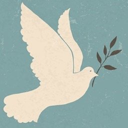 BarisBildirisi's profile picture. 