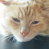 David龘龘🫥🫥🫥🫥 (@gy_yuan135) 's Twitter Profile Photo