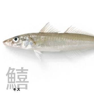 P54991792's profile picture. いざ陸へ。踏み出す1歩。