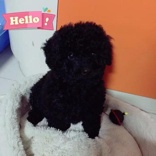 exiaoo's profile picture. 