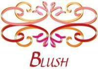 Blush Boutique catering to women who love to wear fantastic clothes at affordable prices.Weekly shipments arrive at $100 or less.