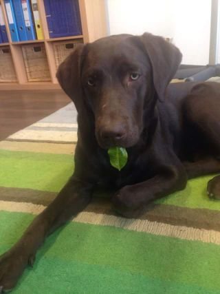 Andrealala13's profile picture. 