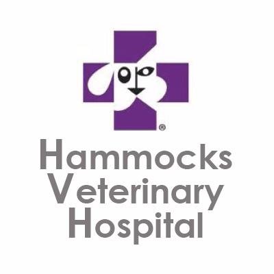 Hammocks Veterinary Hospital is committed to excellence in providing the best health care to patients at an affordable price.