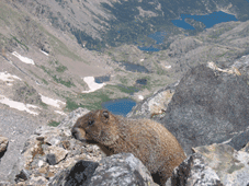 hollips's profile picture. just me