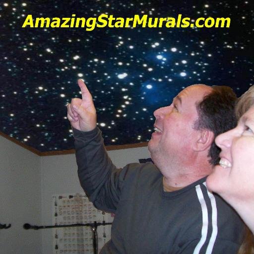 Owner of Sci-Fi Ceilings® and creator of The Amazing Star Mural Painting System. Lee also helps people make more money in their house painting business.