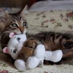 Lovexxxxooooooo's profile picture. BUTT