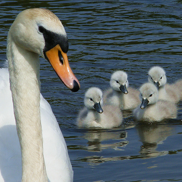 ParentingGuide's profile picture. Information and advice on dealing with common parenting issues and problems