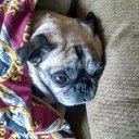 Frederick Parish - @parishf - Twitter