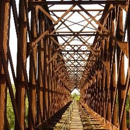 iquantumperl's profile picture. 