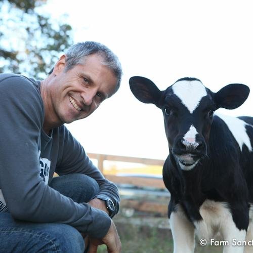 Gene Baur is a #vegan activist, best selling author, and co‑founder and president of @FarmSanctuary, America’s leading farm animal protection organization.