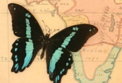 MariazZvWUE's profile picture. 