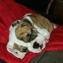 Eric Ketter - @eketter44 - Twitter