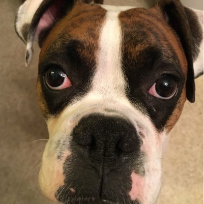 jocephus70's profile picture. 