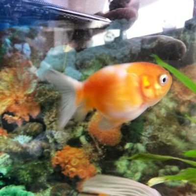 marixatorres1's profile picture. 