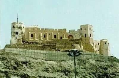 signaled6g's profile picture. 