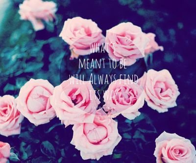 darkshadow_gab's profile picture. 11/14/15|YouTuber|Photographer|Bi|Music|Guitarist|YouNower|Pierced(4)|Dog Owner(3)|Wolves|Inked