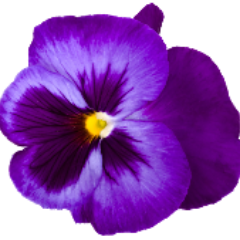 dkpdwives's profile picture. We love our #PoliceOfficer 'WeSupport. WeLove. WeProtectOurHusbandsWithPrayers. WeEncourgageFamily. WeSupportPoliceFamilies