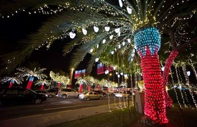 kpk_hamid's profile picture. 