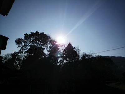 wXiPVmXkgVmcsK1's profile picture. 