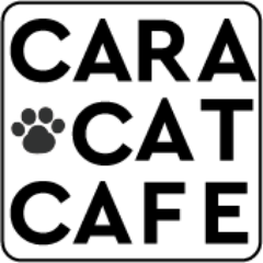 caracatcafe Profile Picture