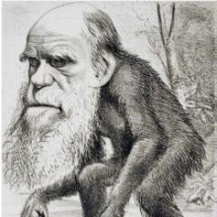 Coscrow's profile picture. .