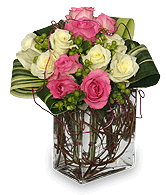 DenverFlowerArt's profile picture. Custom Flower Work!