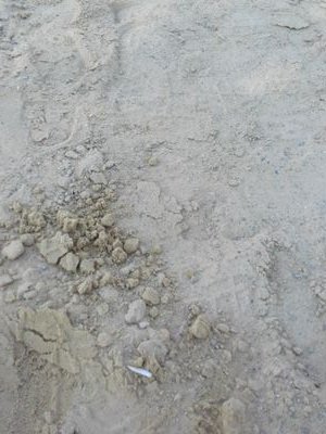 tFyG1MGRb69FnHX's profile picture. 