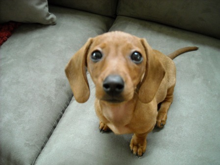 Chicarttees's profile picture. Artist who draws the good life.
Outdoors and fun