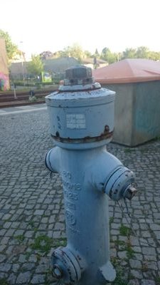 ionspectateur's profile picture. 