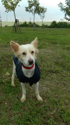 DhyK7AIBmGtPTqB's profile picture. 