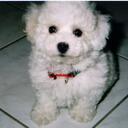 Oliver Yee - @oliver_yee - Twitter