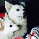 Stephen Benko - @binky521010 - Twitter