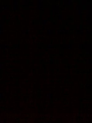 L3iiko's profile picture. 