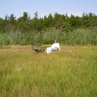 susanendres (@susanendres) 's Twitter Profile