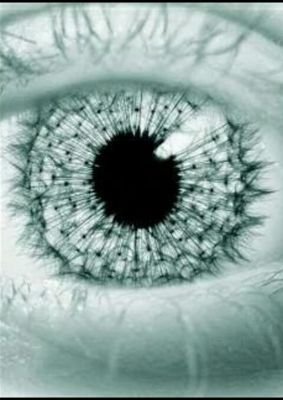 RoboGames33's profile picture. 