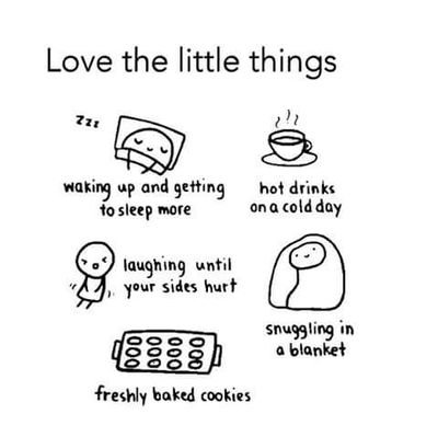 meersafa1's profile picture. doctoral scholar