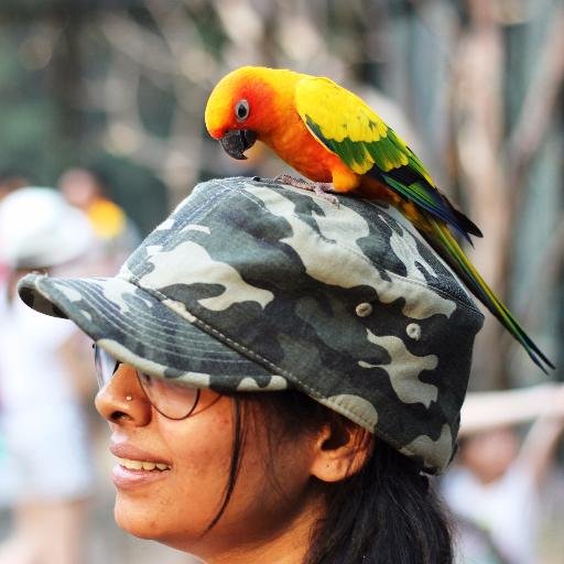 aggarwalshubhi's profile picture. 