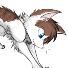 ShadedHearts_'s profile picture. Young brown-and white tom and blue eyes, happy and brave. Mother: @Glimmerwishes Father: @BlizzardsStorm OakClan.