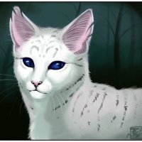 Whisperkit (@unheardpawsteps) 's Twitter Profile