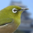 parpai's profile image