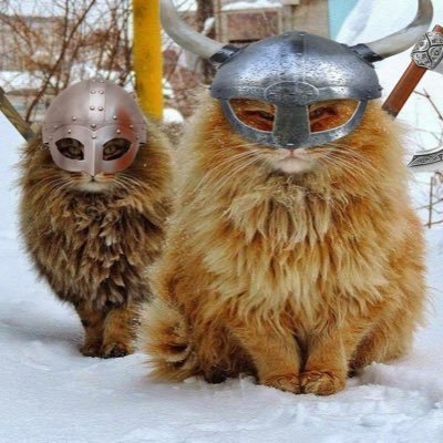 LeifsValhalla's profile picture. 