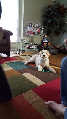 drobsnev's profile picture. 