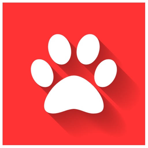 BestPetCam's profile picture. Do you ever wonder what your pets are doing when you leave the house?