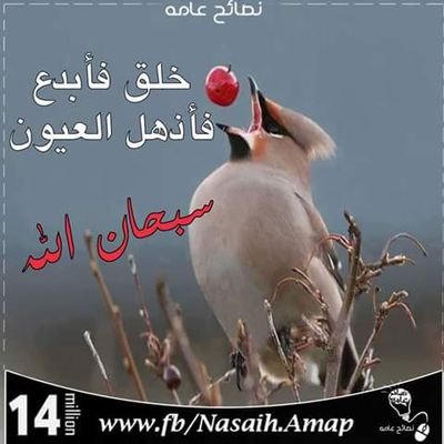 sandrkp's profile picture. 