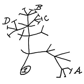 Kansans4Science Profile Picture