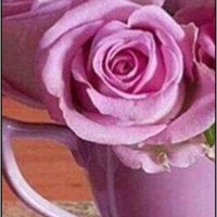 خطابه لذوي الاحتياجات وللجميع (@am_mssar) 's Twitter Profile